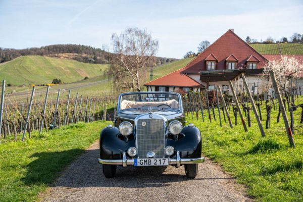 Mercedes-Benz 170 S Cabriolet A 1950 34343