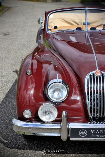 Jaguar XK 140 SE DHC 1956 34065