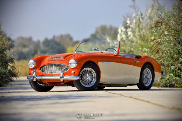 Austin-Healey 3000 Mk I (BN7) 1959