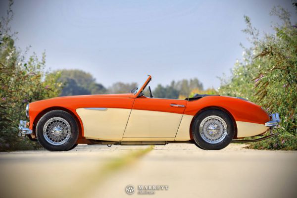 Austin-Healey 3000 Mk I (BN7) 1959 100202