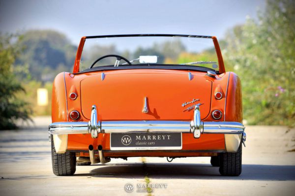 Austin-Healey 3000 Mk I (BN7) 1959 100204