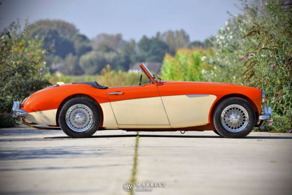 Austin-Healey 3000 Mk I (BN7) 1959 100206