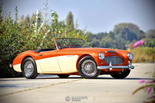 Austin-Healey 3000 Mk I (BN7) 1959 100207