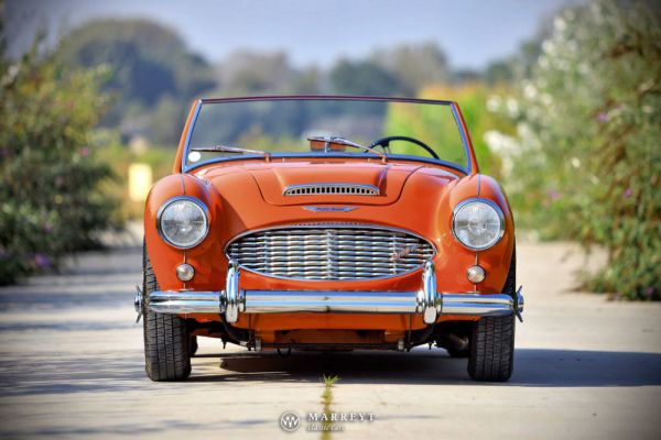 Austin-Healey 3000 Mk I (BN7) 1959 100208