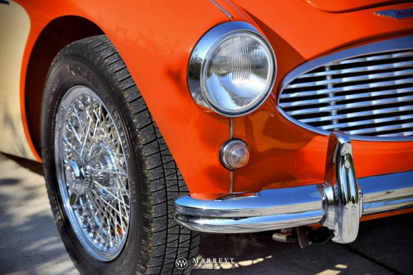 Austin-Healey 3000 Mk I (BN7) 1959 100209