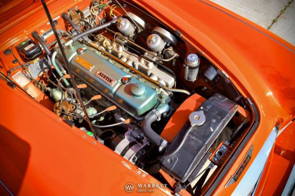 Austin-Healey 3000 Mk I (BN7) 1959 100213