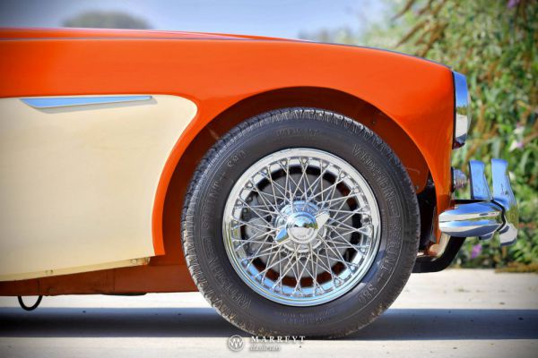 Austin-Healey 3000 Mk I (BN7) 1959 100214