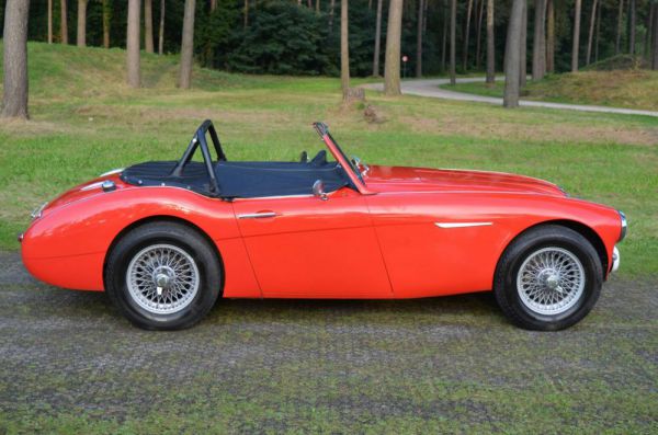 Austin-Healey 100/6 (BN4) 1958 82429