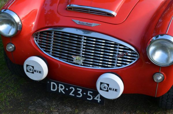 Austin-Healey 100/6 (BN4) 1958 82432