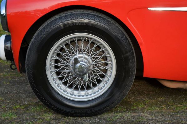 Austin-Healey 100/6 (BN4) 1958 82433