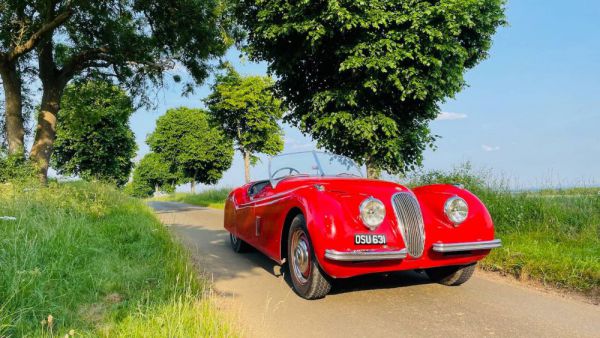 Jaguar XK 120 OTS 1951 31929