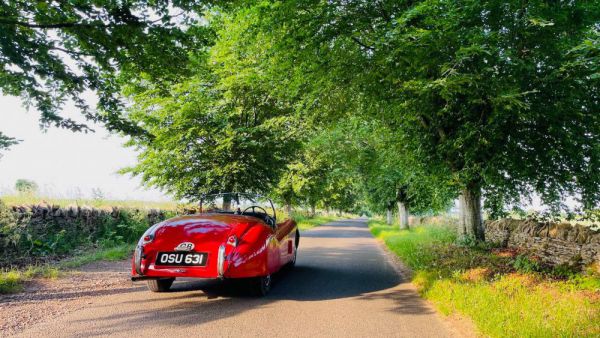 Jaguar XK 120 OTS 1951 31931