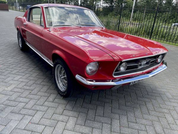 Ford Mustang GT 390 1967 100494