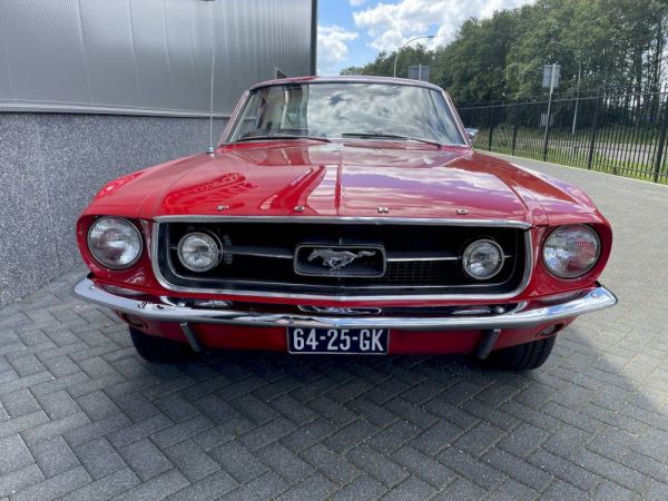 Ford Mustang GT 390 1967 100495