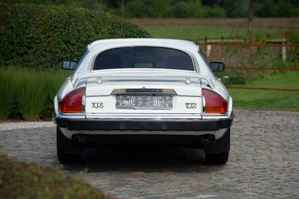 Jaguar XJS 5.3 V12 1989 23696