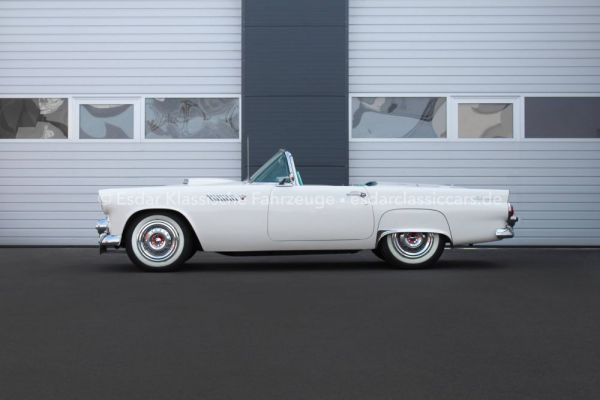 Ford Thunderbird 1955 88428