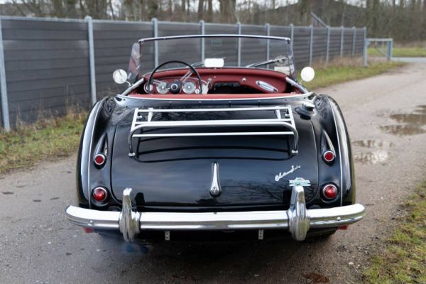 Austin-Healey 100/6 (BN4) 1958