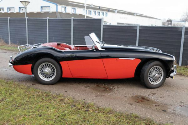 Austin-Healey 100/6 (BN4) 1958 14773