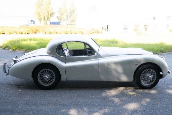 Jaguar XK 120 FHC 1951 14871