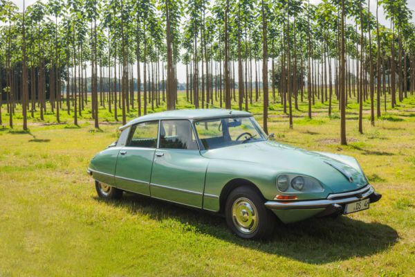 Citroën DS 23 Pallas 1972 14485