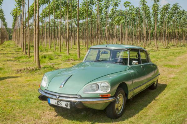 Citroën DS 23 Pallas 1972 14489