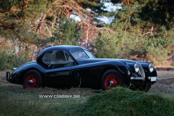 Jaguar XK 120 FHC 1952 13403