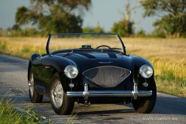 Austin-Healey 100/4 (BN1) 1955