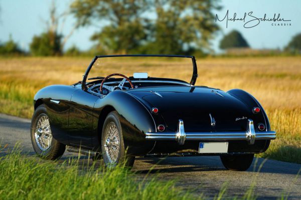 Austin-Healey 100/4 (BN1) 1955 13495