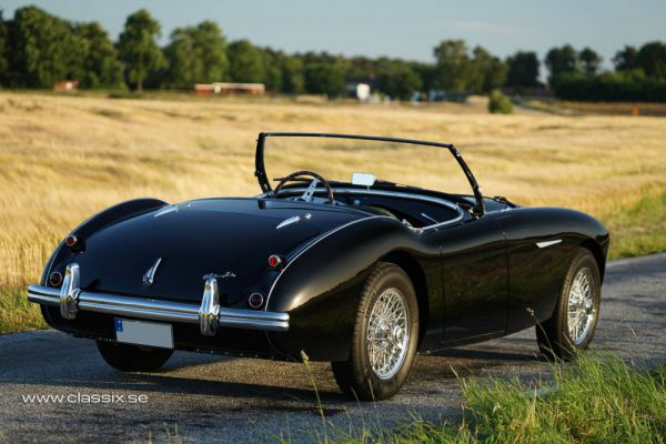 Austin-Healey 100/4 (BN1) 1955 13501