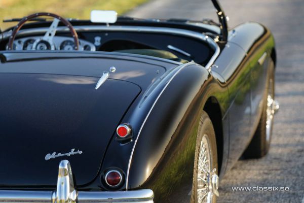 Austin-Healey 100/4 (BN1) 1955 13505