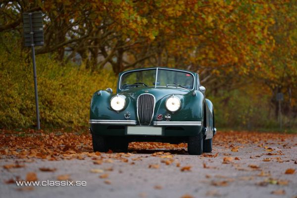 Jaguar XK 120 DHC 1954