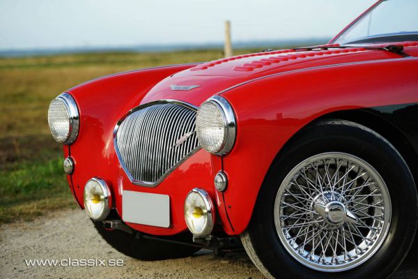 Austin-Healey 100/4 (BN1) 1954 98965