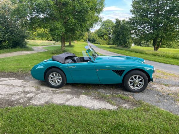 Austin-Healey 100/6 (BN6) 1958 11474