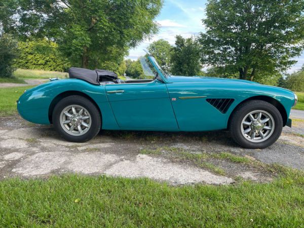 Austin-Healey 100/6 (BN6) 1958 11475