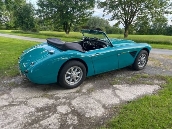 Austin-Healey 100/6 (BN6) 1958 11476