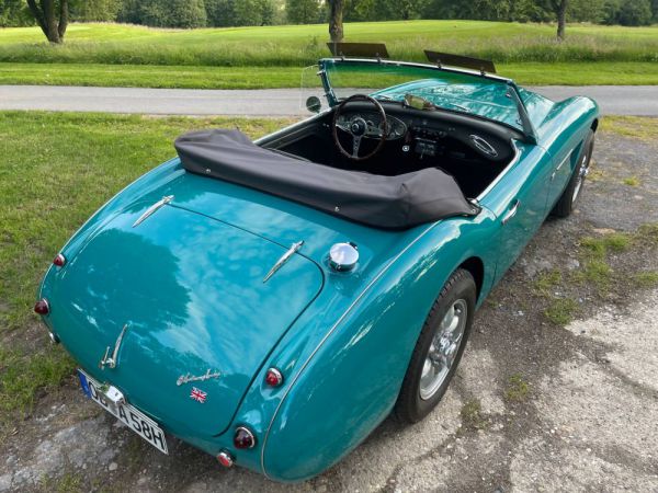 Austin-Healey 100/6 (BN6) 1958 11479