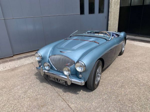 Austin-Healey 100/4 (BN1) 1954