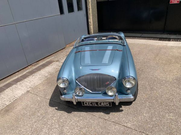 Austin-Healey 100/4 (BN1) 1954 9236