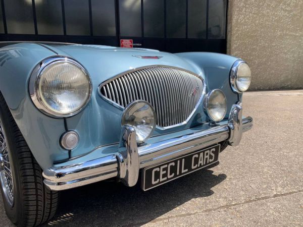 Austin-Healey 100/4 (BN1) 1954 9238