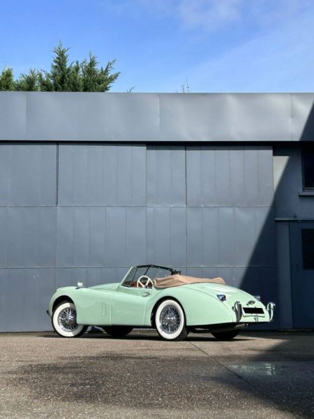 Jaguar XK 120 OTS 1953 9367