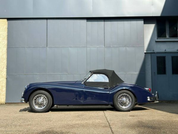 Jaguar XK 140 OTS 1956 9377