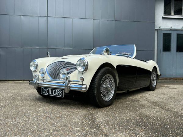 Austin-Healey 100/4 (BN2) 1956