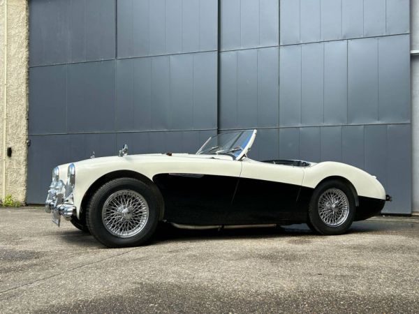 Austin-Healey 100/4 (BN2) 1956 97919