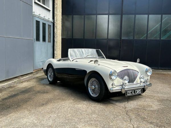 Austin-Healey 100/4 (BN2) 1956 97920