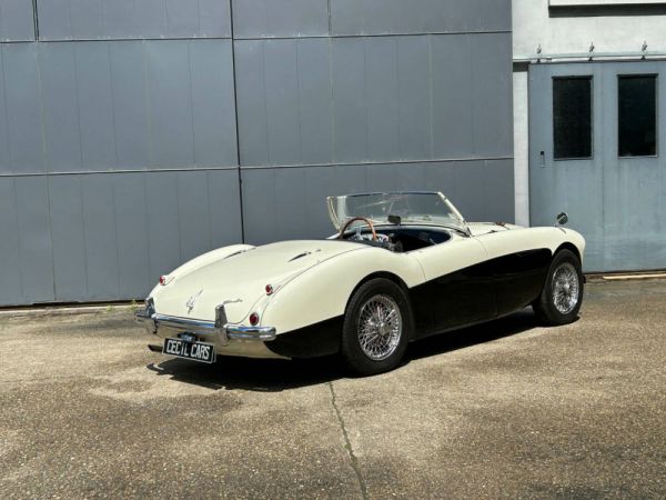 Austin-Healey 100/4 (BN2) 1956 97921