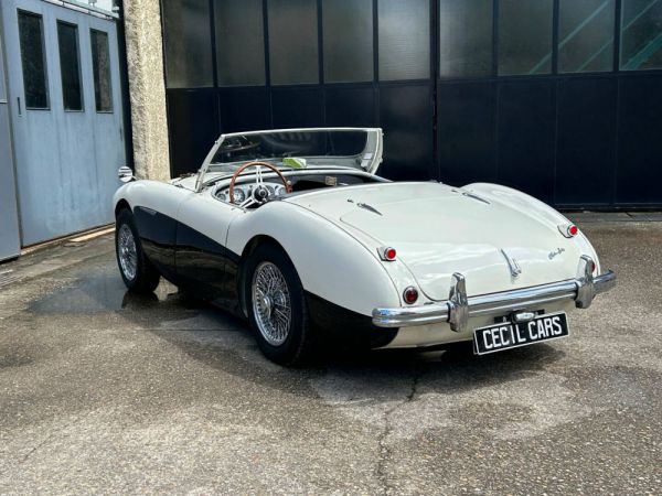 Austin-Healey 100/4 (BN2) 1956 97924