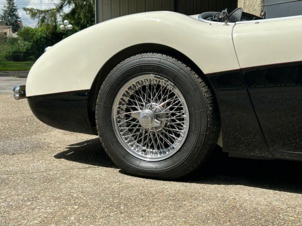 Austin-Healey 100/4 (BN2) 1956 97926