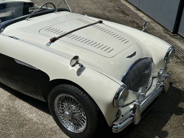 Austin-Healey 100/4 (BN2) 1956 97928