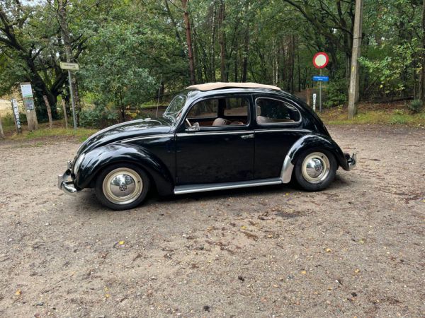 Volkswagen Maggiolino 1200 Standard "Ovali" 1954