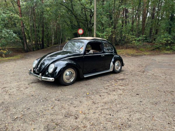 Volkswagen Maggiolino 1200 Standard "Ovali" 1954 98655